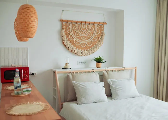 Garsoniera Rin Grand *